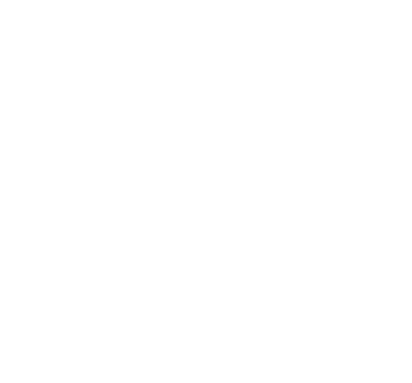 Pravo-300 International