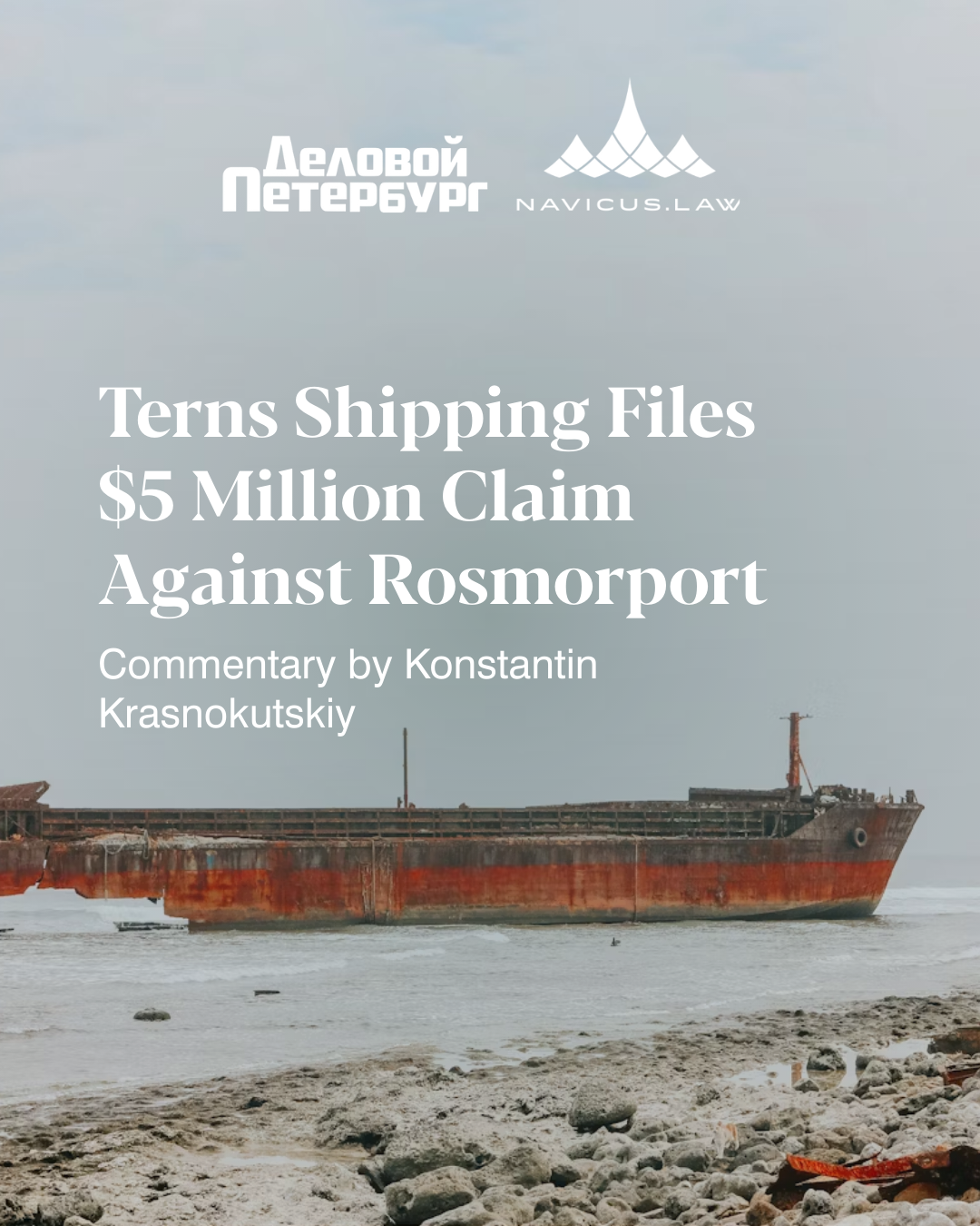 Terns Shipping Files a Claim of $5 Million Against Rosmorport — Insight from Konstantin Krasnokutskiy